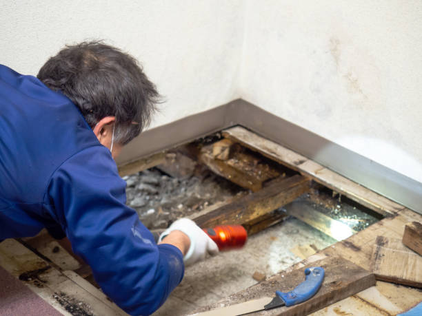 Best Bathroom Mold Remediation in Fort Valley, GA